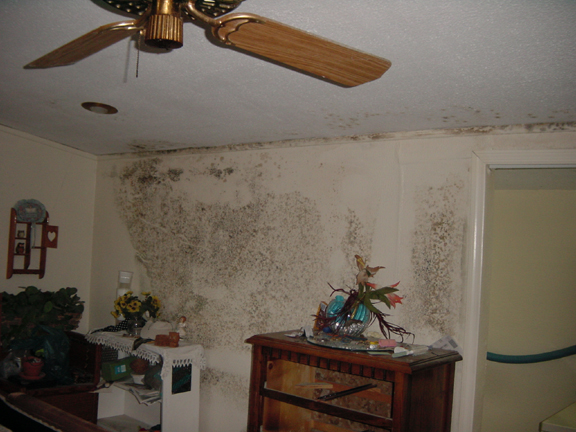 Bruns - Punta Gorda 1